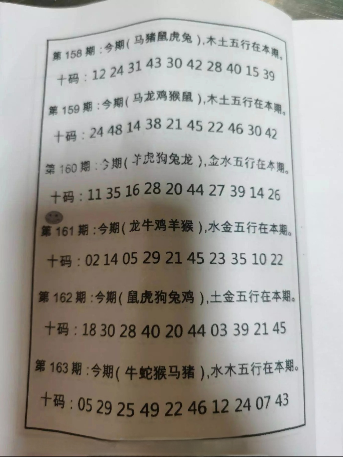 1000049395.jpg